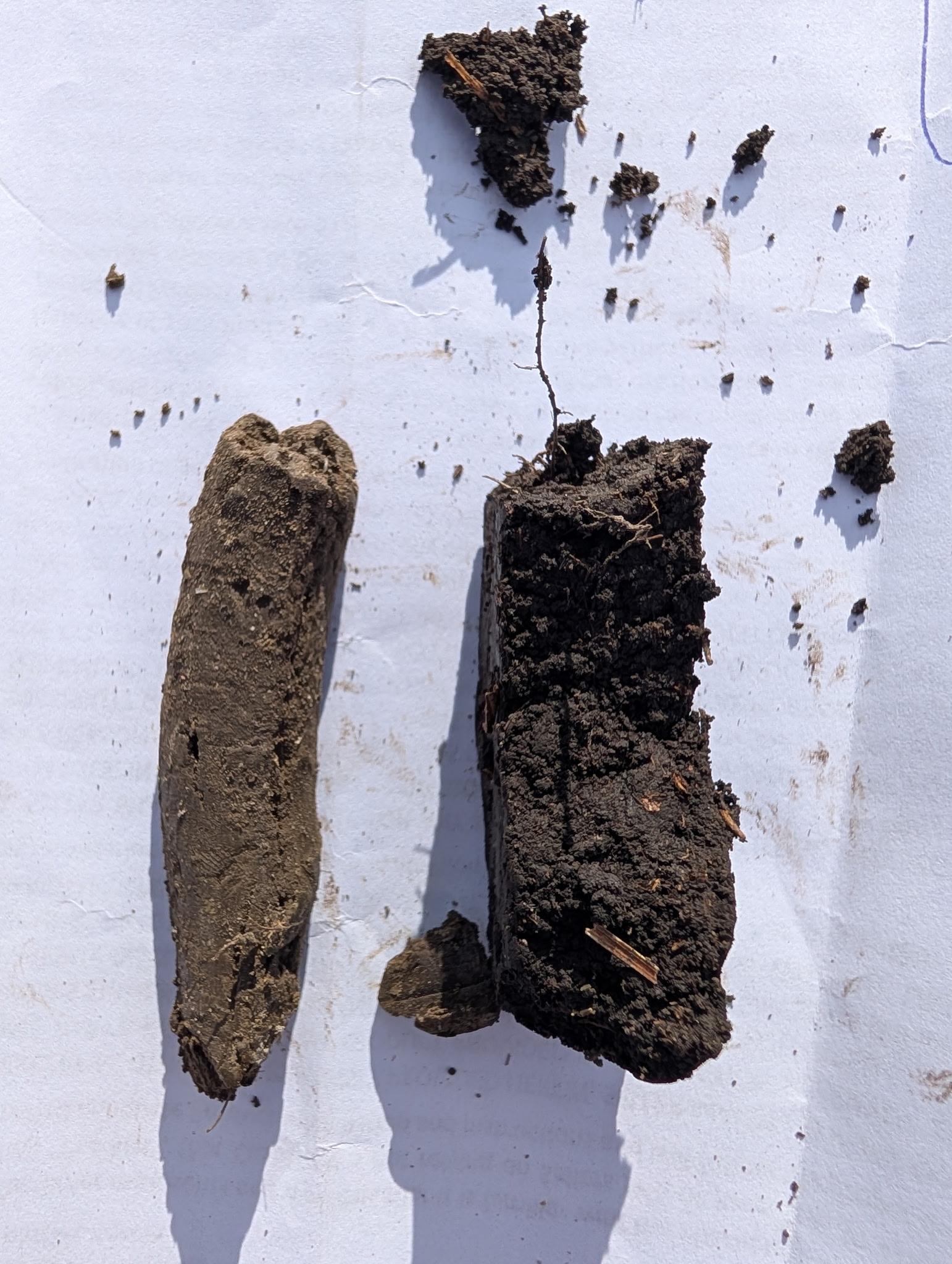Soil samples for assessing field soil health